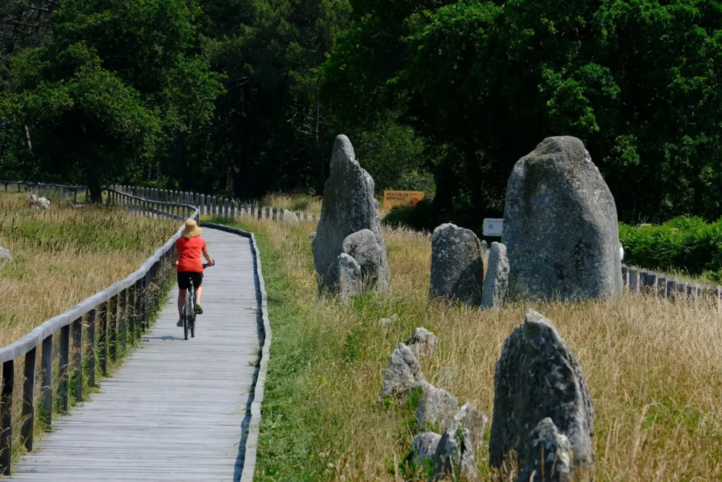 Personne à vélo sur un chemin en bois qui serpente entre les menhirs de Carnac en Bretagne.