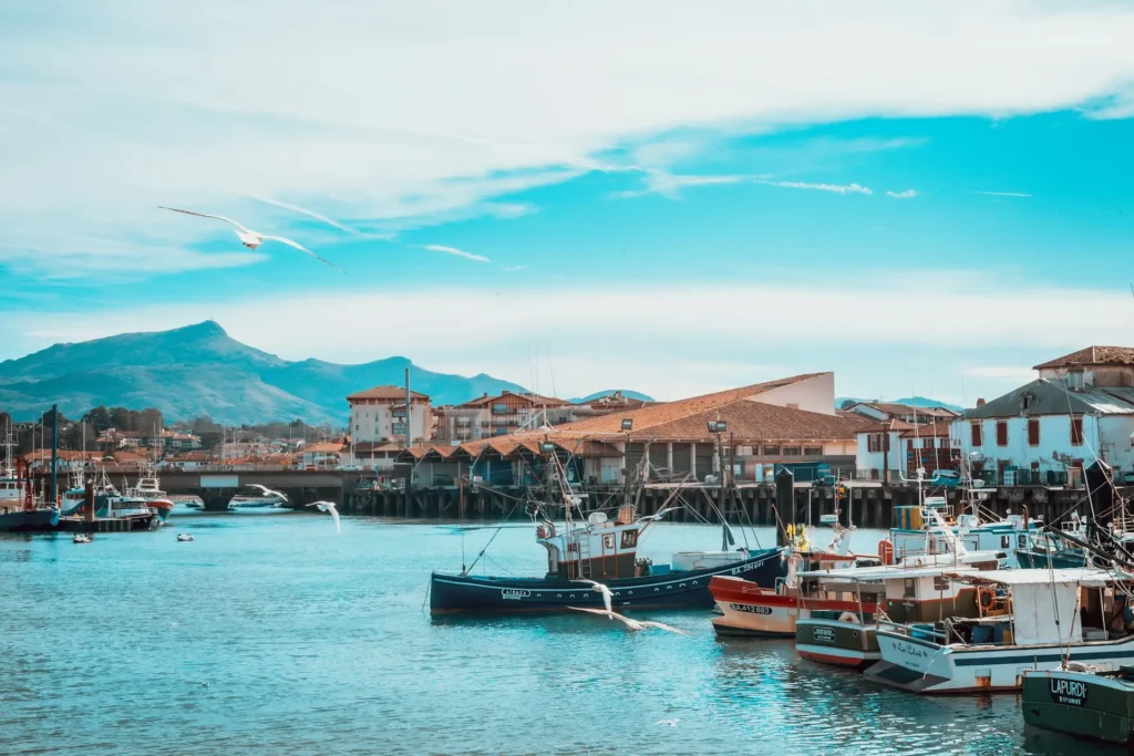 Vue du port de Saint-Jean-de-Luz : plusieurs chalutiers colorés amarrés, une mouette en plein vol et la silhouette bleutée des montagnes basques à l’horizon.